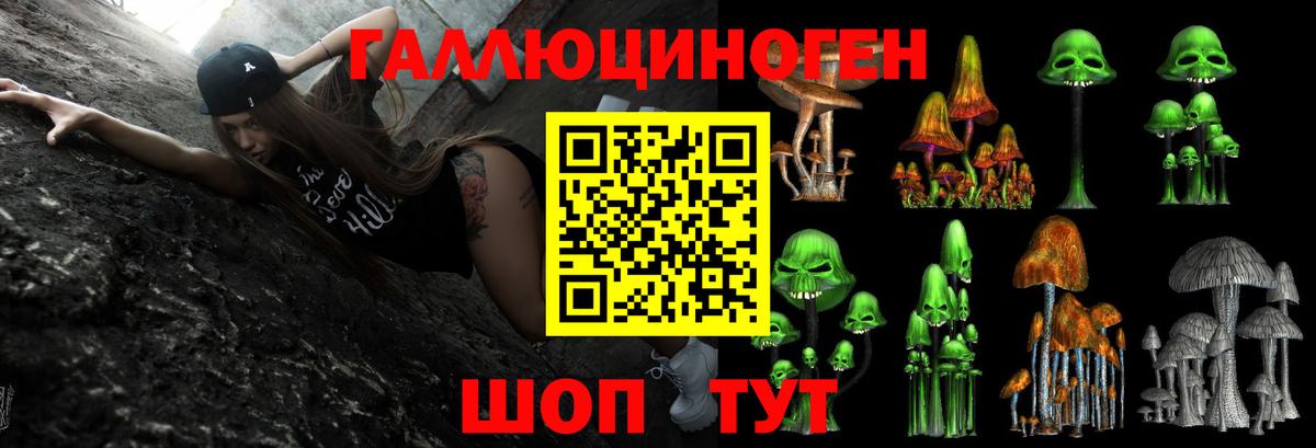 Галлюциногенные грибы мицелий Белая Калитва